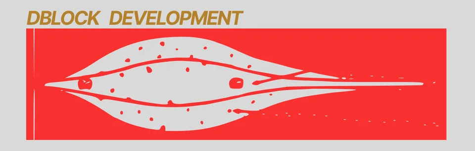 Wound Pattern A: stylised red and grey wound-channel graphic under a gold DBLOCK DEVELOPMENT wordmark